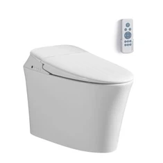 Toilet Bidet Terpadu