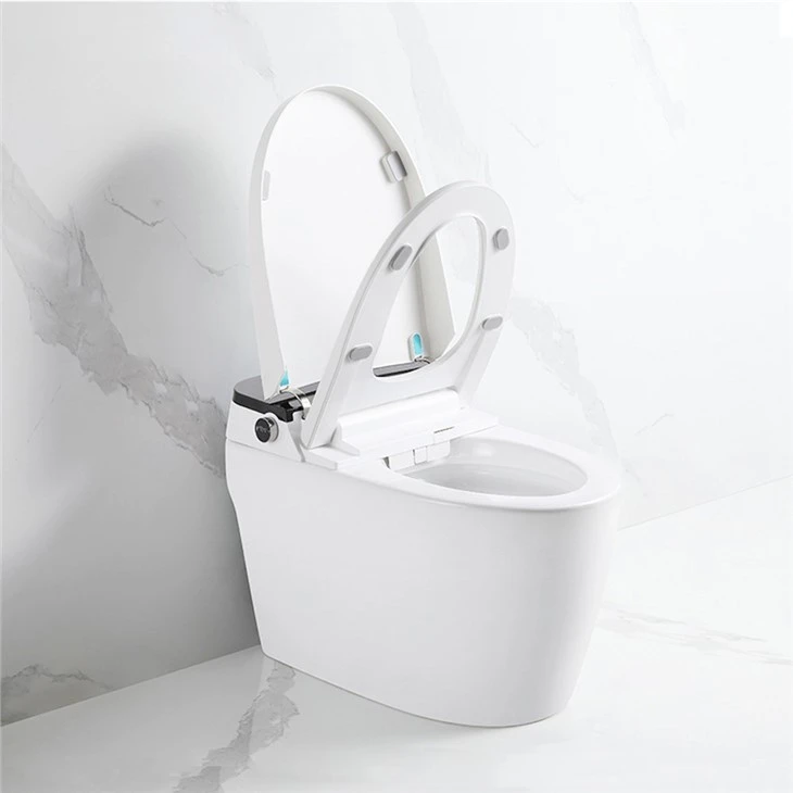 Floor-standing smart toilet